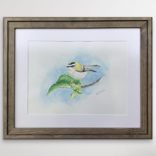 Akvarel maleri af en Fuglekonge